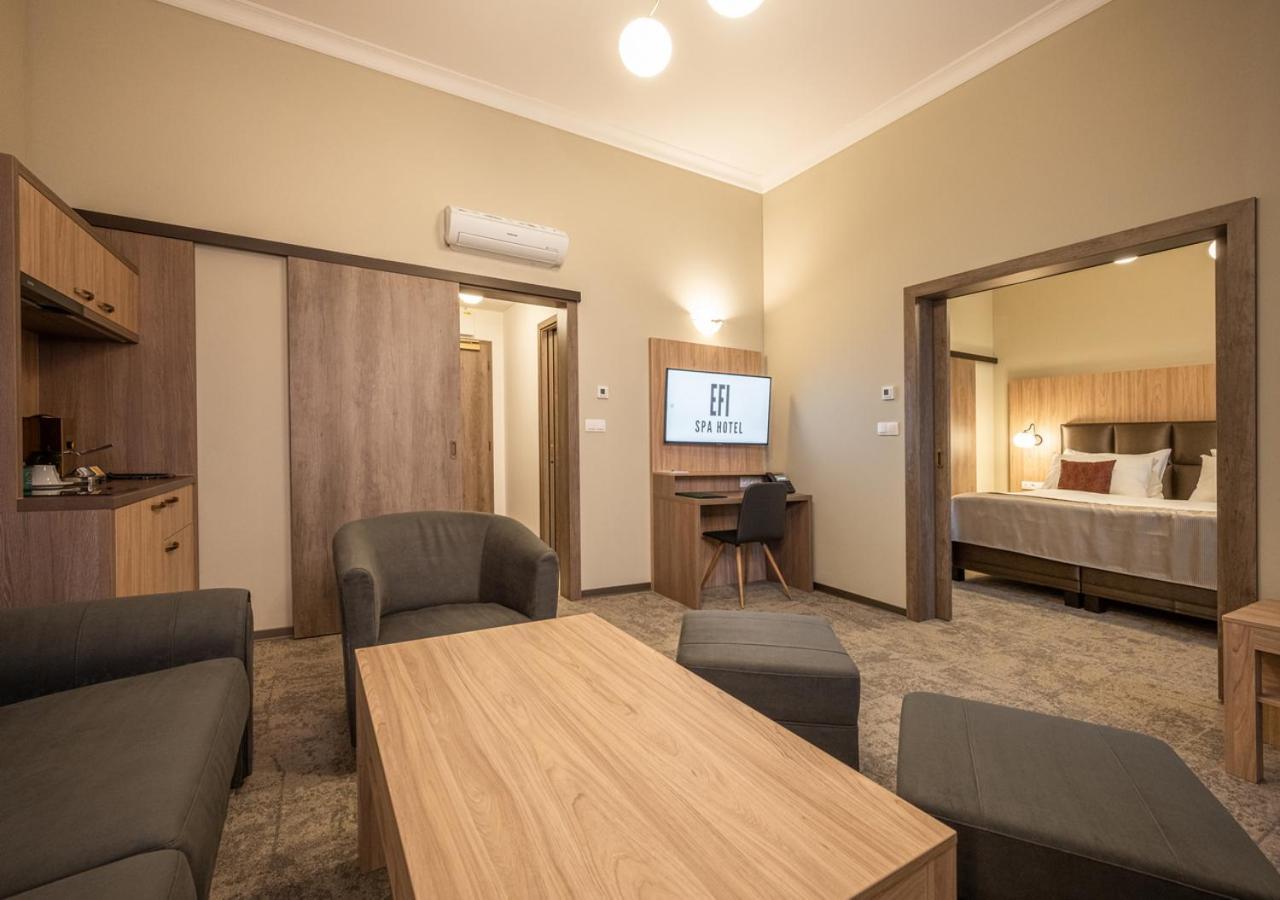 Efi Spa Hotel Superior & Pivovar 브르노 외부 사진