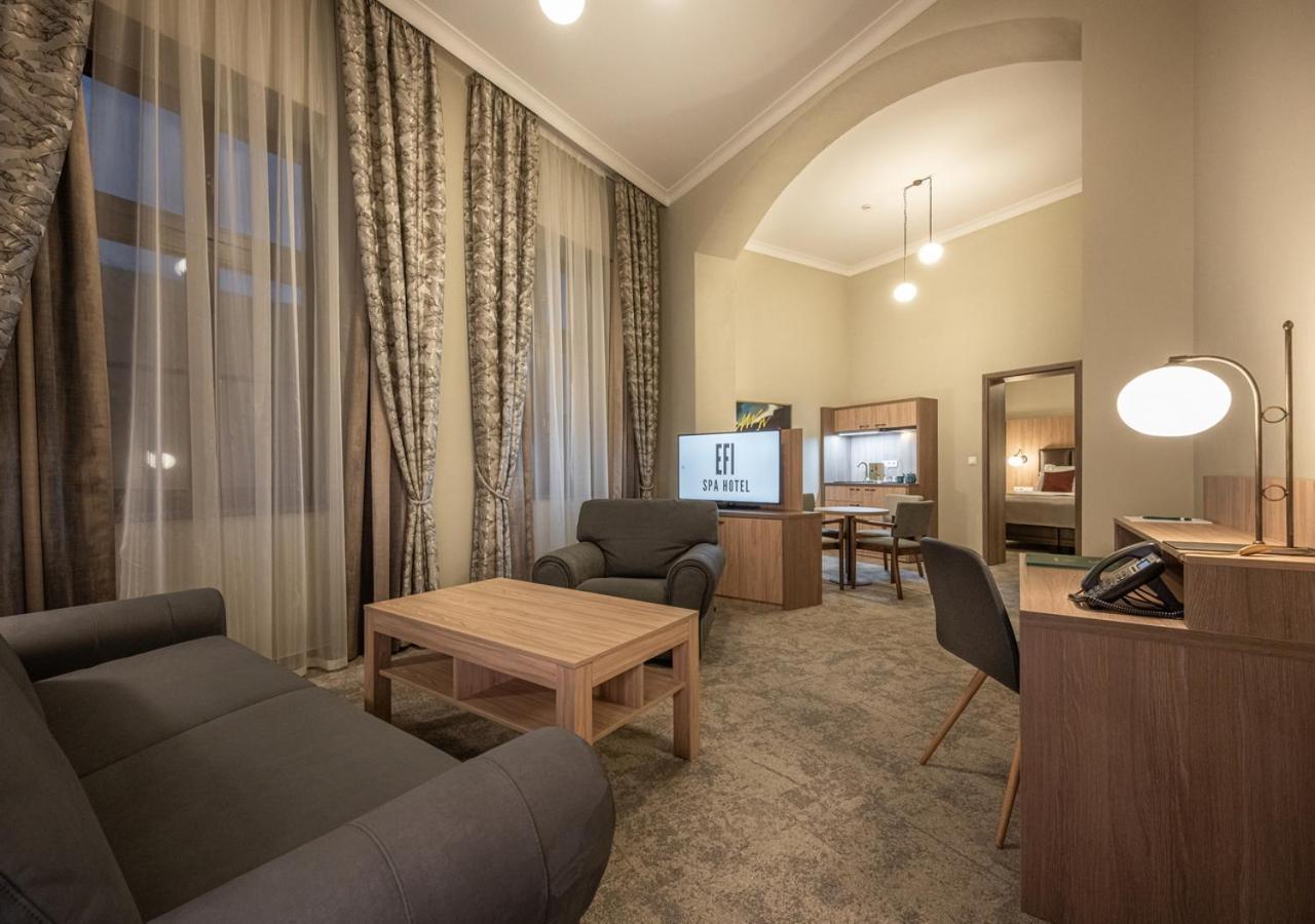 Efi Spa Hotel Superior & Pivovar 브르노 외부 사진